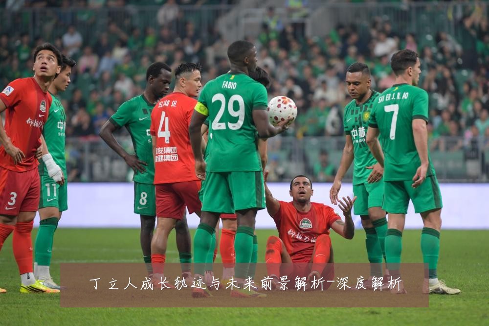 丁立人成长轨迹与未来前景解析-深度解析